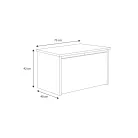 DARIA játéktároló láda, Fehér, Railway