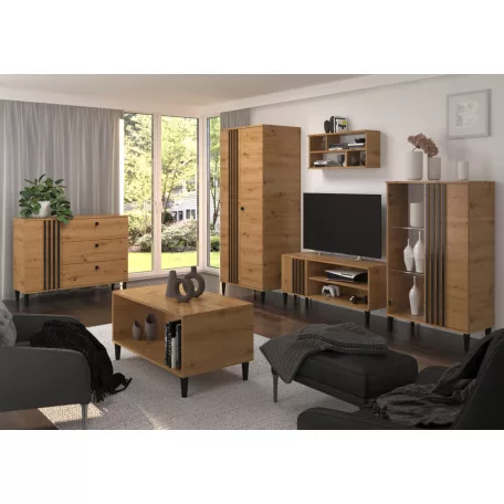 Vitrin LIVIA 06, Művész