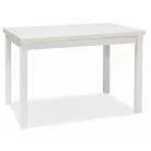 Adam 120 asztal, 120X68, matt fehér, matt fehér