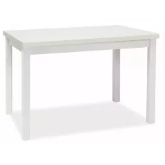 Adam 120 asztal, 120X68, matt fehér, matt fehér