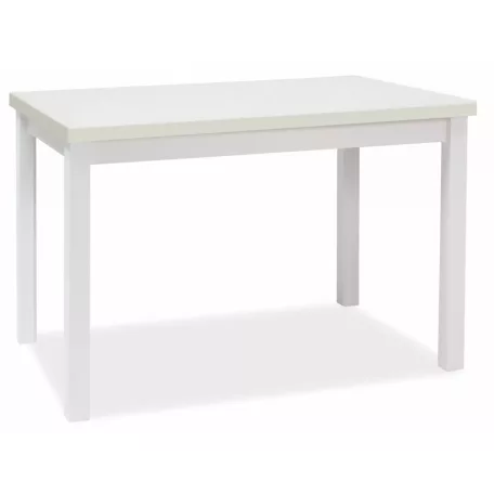 Adam 120 asztal, 120X68, matt fehér, matt fehér