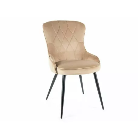 Lotus bársony szék, fekete, bézs