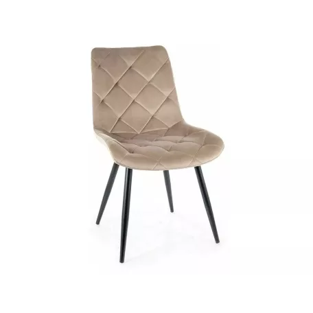 Ralph bársonyszék, fekete, sötét bézs