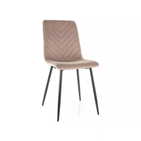 Daren bársony szék, matt fekete, sötét bézs