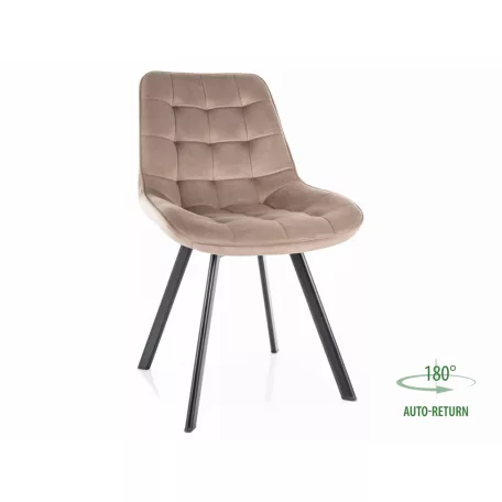 Monti bársonyszék, matt fekete, sötét bézs