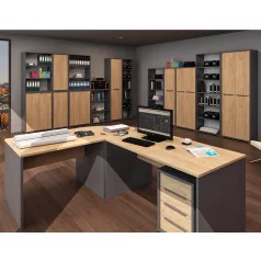 Íróasztal, grafit/tölgyfa artisan, RIOMA NEW TYP 11