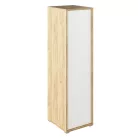 Akasztós szekrény, artisan tölgy/fehér, RIOMA TYP 20