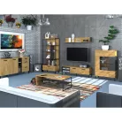 Dohányzóasztal 120, dub craf arany/antracit, SANTANA