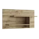 Panel 80, navarra tölgy, DORSI