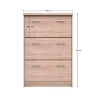 Cipősszekrény 3K, sonoma tölgy, TOPTY TYP 24