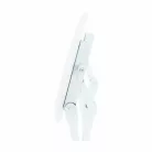 Összecsukható szék, fehér, AMADEO NEW